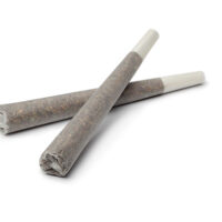 amsterdam pre-rolls